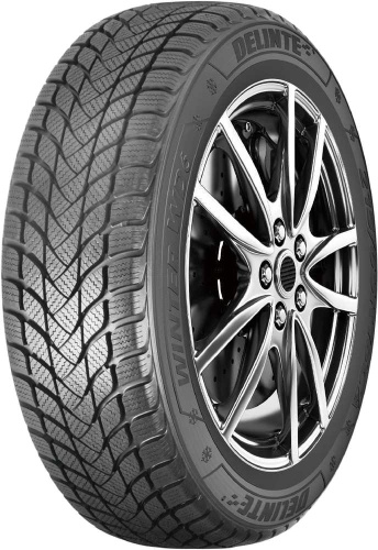 Зимние шины Delinte Winter WD6 215/50 R17 95H